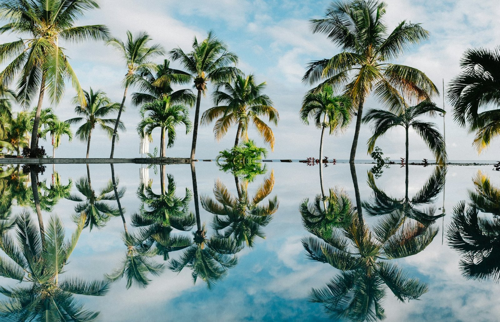 dan-freeman-wAn4RfmXtxU-unsplash-1